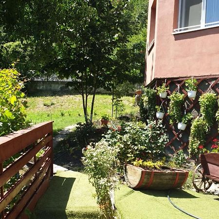 Casa Lorena Sărata-Monteoru Exterior foto