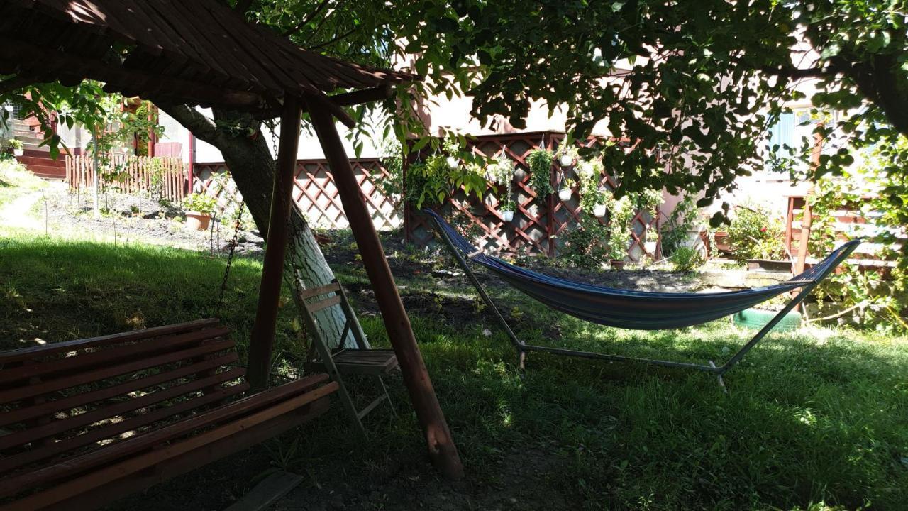 Casa Lorena Sărata-Monteoru Exterior foto