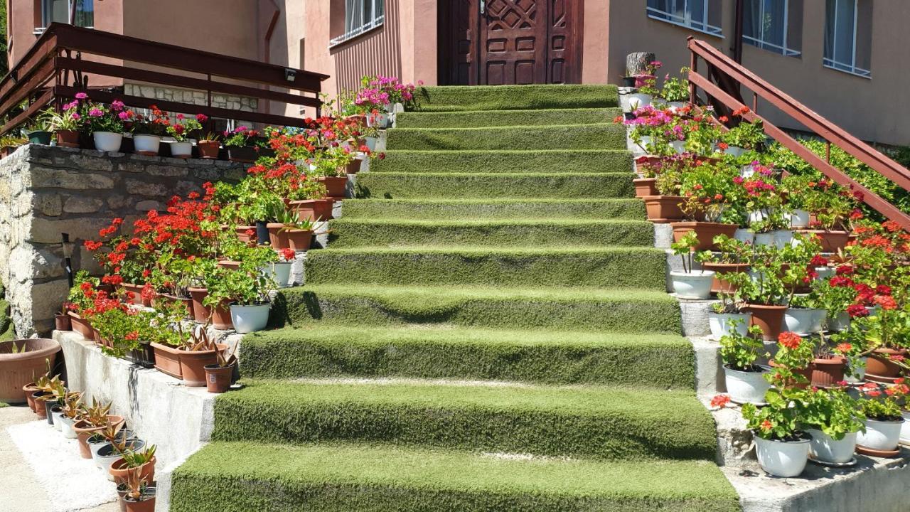 Casa Lorena Sărata-Monteoru Exterior foto