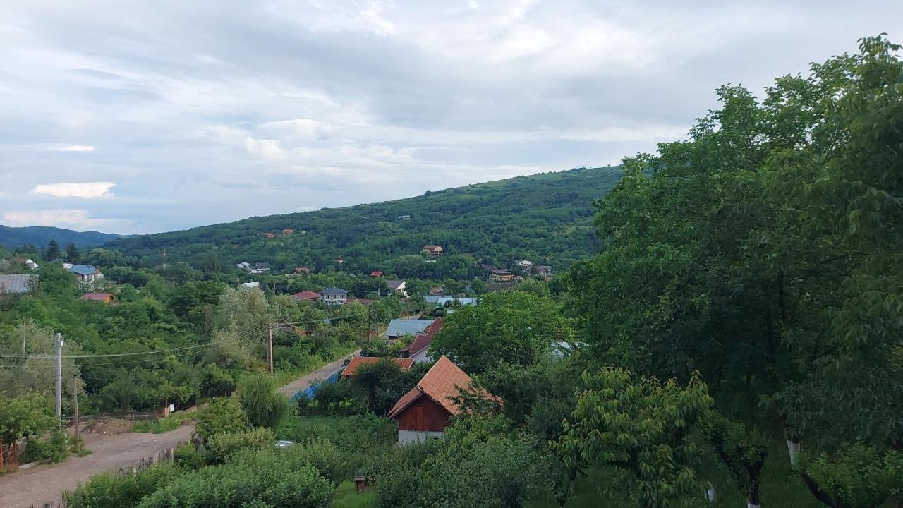 Casa Lorena Sărata-Monteoru Exterior foto