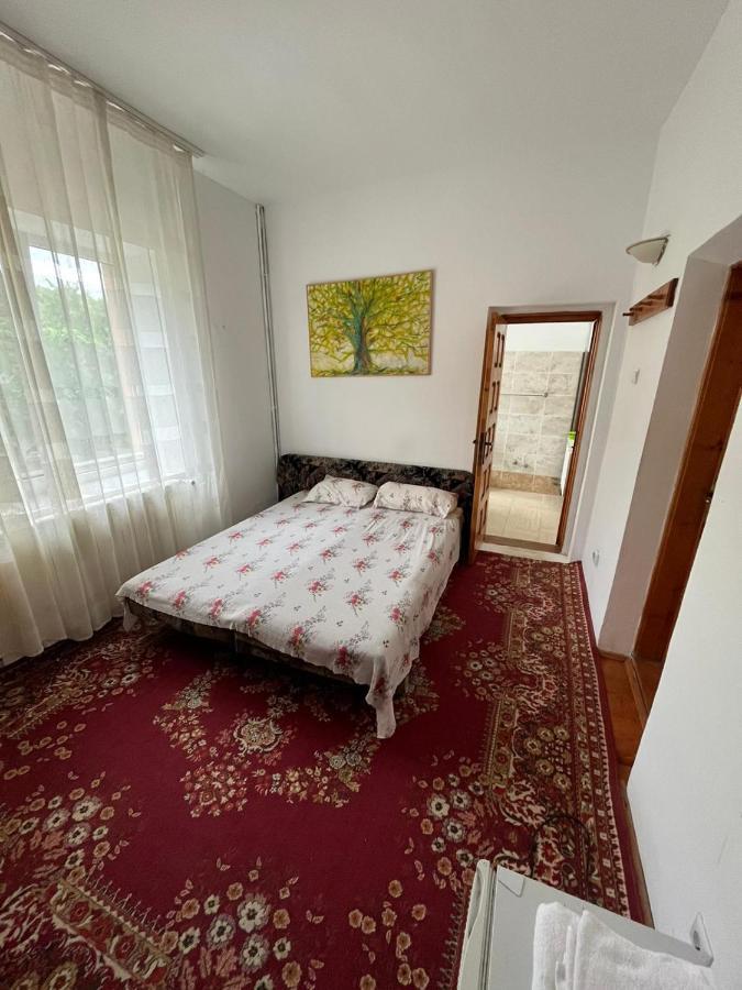 Casa Lorena Sărata-Monteoru Exterior foto